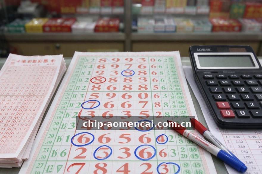 从码头理货员到数据榜常客：谭耀明的澳门六合彩十年观察手记